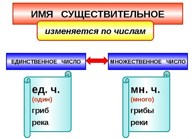 Число имен существительных