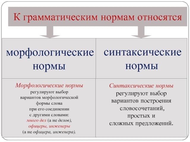 Грамматические нормы