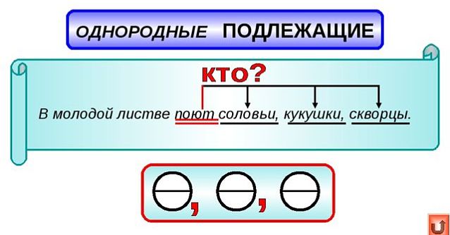 Однородные подлежащие