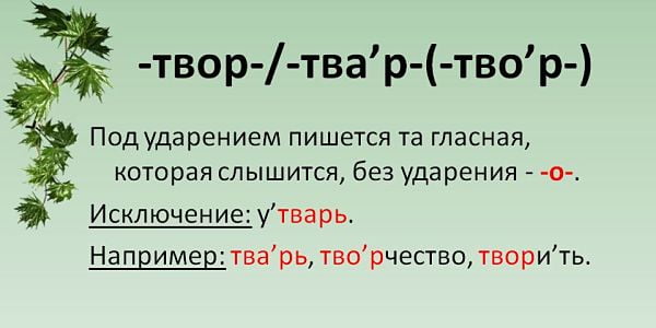 Корни твар твор