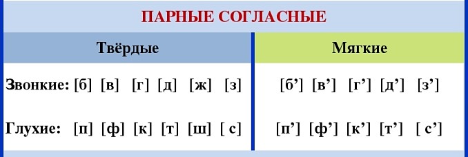 Парные звонких и глухие согласные