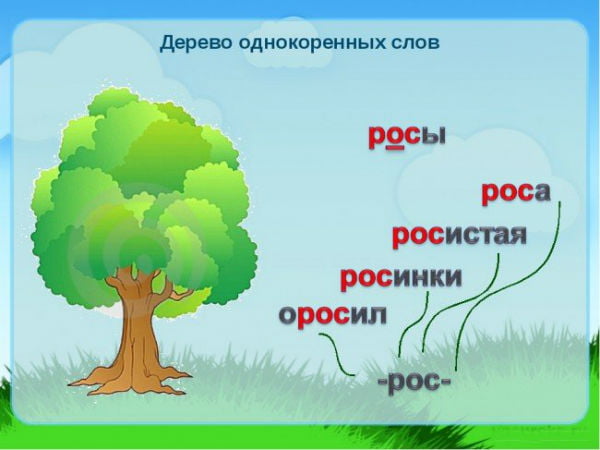 Однокоренные слова к слову "роса"