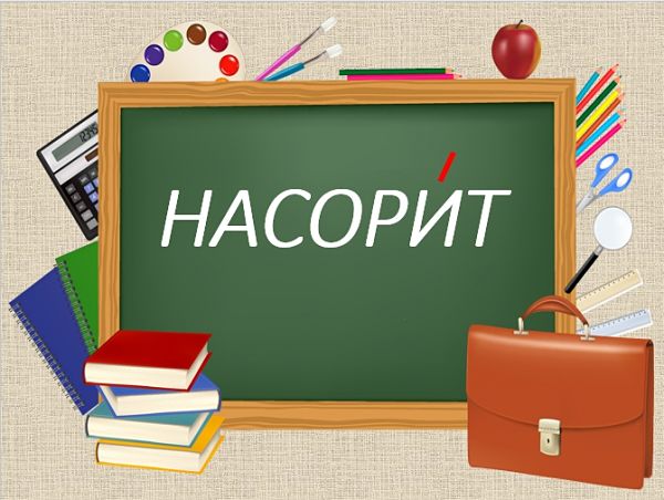 Ударение в слове насорит