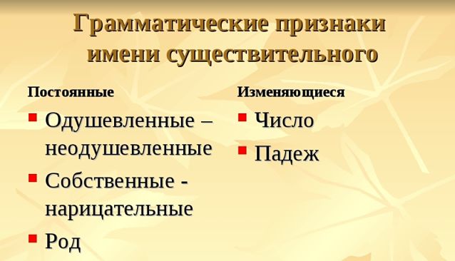 Грамматические признаки существительного