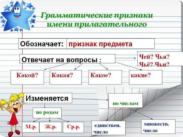 Грамматические признаки прилагательного