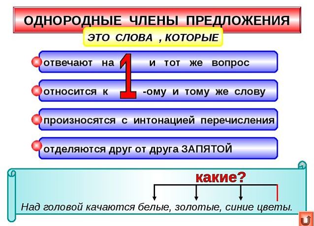 Однородные члены предложения это