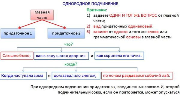 Однородное подчинение придаточных предложений