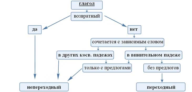 Что такое переходные и непереходные глаголы: как определить, примеры