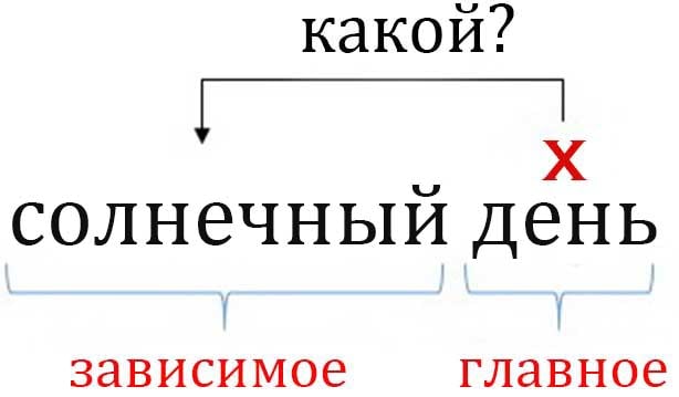 Главное и зависимое слово в словосочетании