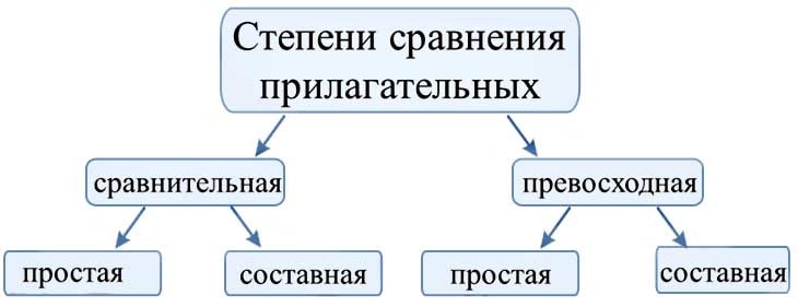 Имя прилагательное в русском языке