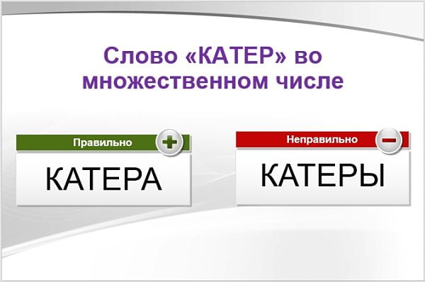 Катера или катеры