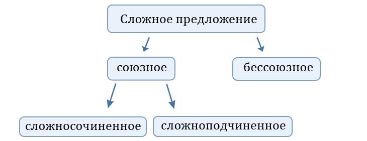 Подчинительные союзы и союзные слова в СПП